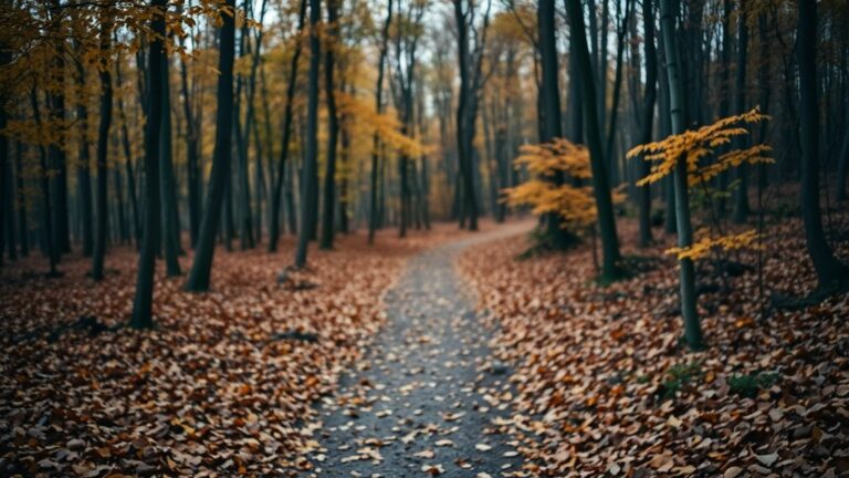 Maarten van rossem: historicus met een verrassend financieel inzicht