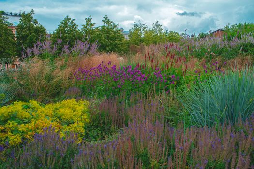 Groene stadstuin in Utrecht met planten, regenton en verwijderde tegels