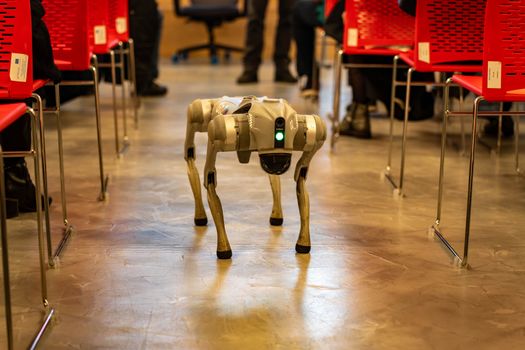 Smartphone met Google Gemini AI-interface voor zoeken, meldingen en slimme taken